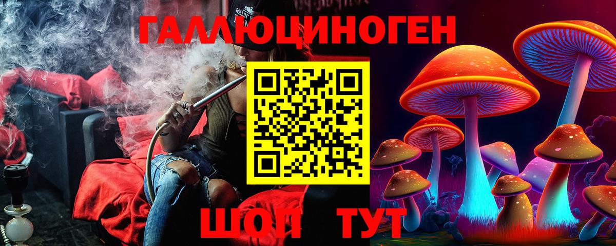 Томск  Псилоцибиновые грибы Cubensis  Вход с VPN 